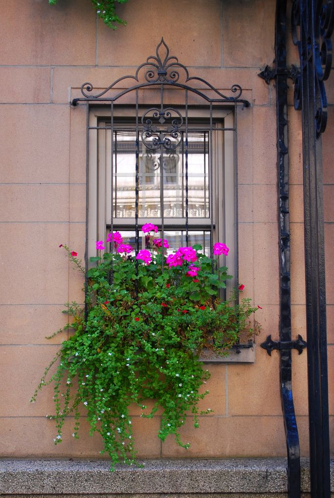 Кованые решетки на окна (65 фото): безопасность и декор в едином решении