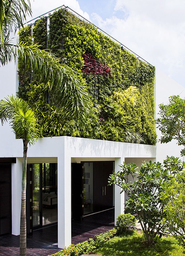 Отделка фасада дома дополнена "живыми стенами" из пышной зеленой растительности