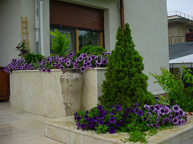 Главный вход дома можно украсить клумбами с цветами и хвойными растениями, главную роль среди которых обязательно отвести вечнозеленому конусу канадской ели