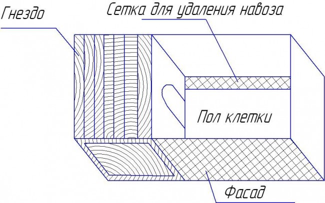 клетка02