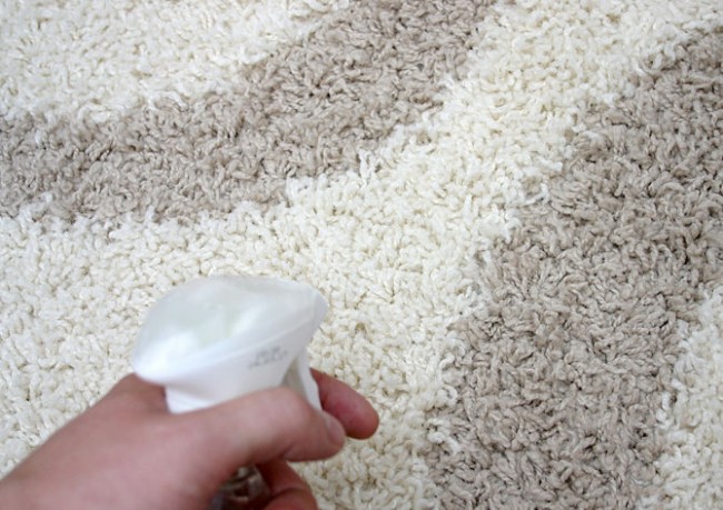 Обнаружив моль в ковровых покрытиях, пропылесосьте их и обработайте аэрозолем против моли. Повторяйте каждые несколько дней