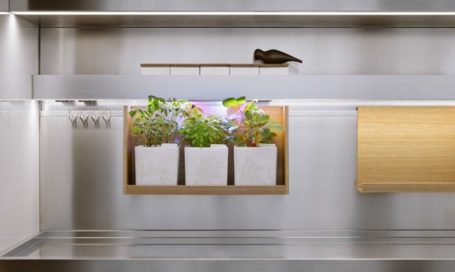Ниша для растений с подсветкой, украшающая современную кухню