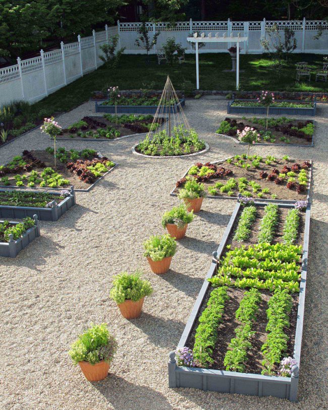 Гармоничное сочетание овощных растений и цветочных клумб в ландшафтном дизайне дачного участка