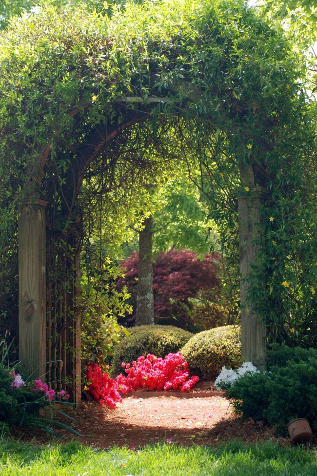 Интересный и загадочный вход в парк: арка из плетущегося растения
