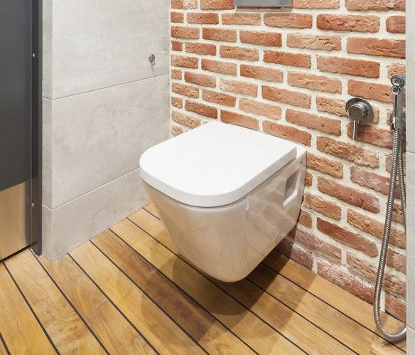 Гигиенический душ со смесителем скрытого монтажа [Виды 2019]