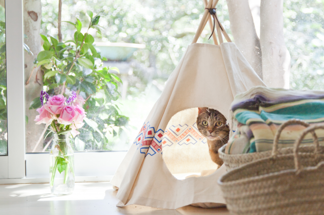 Кошачий вигвам – простой способ украсить комнату и подарить кошке свой уголок