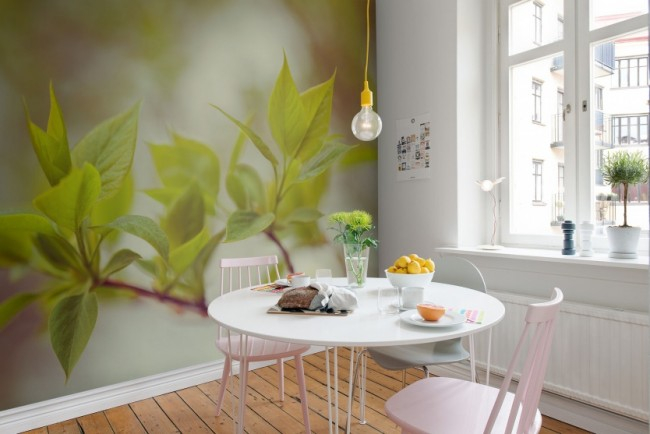 Фотообои на кухню (цветы или ветви) помогут создать желаемый акцент на короткой стене