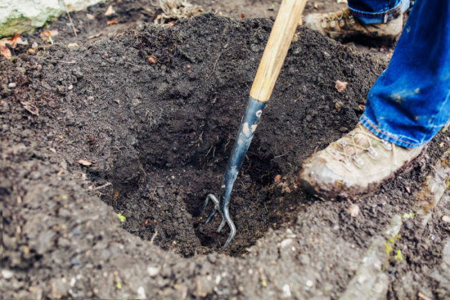 Выкопайте яму для посадки винограда