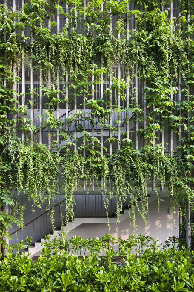 Фасад здания, украшенный вьющимися растениями