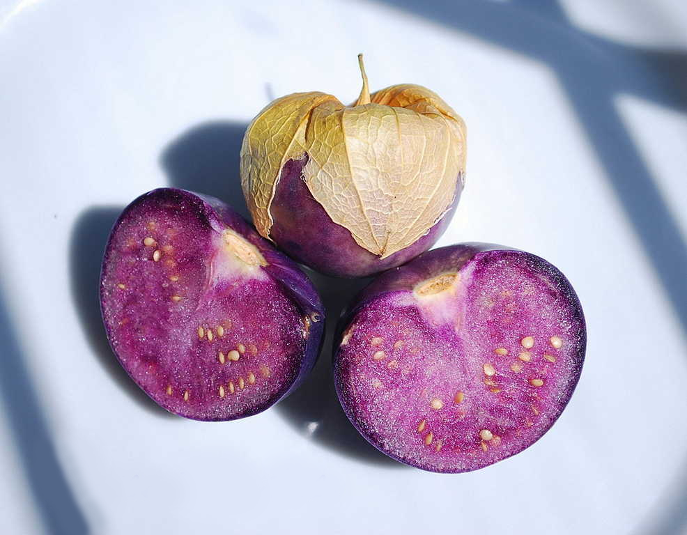 Ярко-фиолетовые плоды физалиса