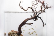 Фото 3 Оформление аквариума своими руками (53 фото): создаем подводное чудо