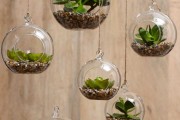 Фото 8 Флорариум своими руками: пошаговый мастер-класс по созданию потрясающего мини-сада за стеклом