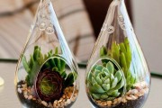 Фото 6 Флорариум своими руками: пошаговый мастер-класс по созданию потрясающего мини-сада за стеклом