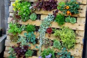Фото 24 Кашпо для цветов своими руками (60+ фотоидей и мастер-классы): украшаем дом и сад стильно!