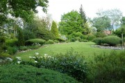 Фото 6 Хвойный красавец в саду — можжевельник (60 фото): посадка и уход за растением
