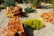Фото 3 Рокарий (48 фото): растительно-каменный тандем на плоской поверхности