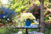 Фото 16 Весенние первоцветы (фото с названиями): разбудите ваш дачный участок!