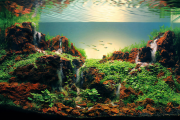 Фото 26 Оформление аквариума своими руками: акваскейпинг от азов к продуманной экосистеме