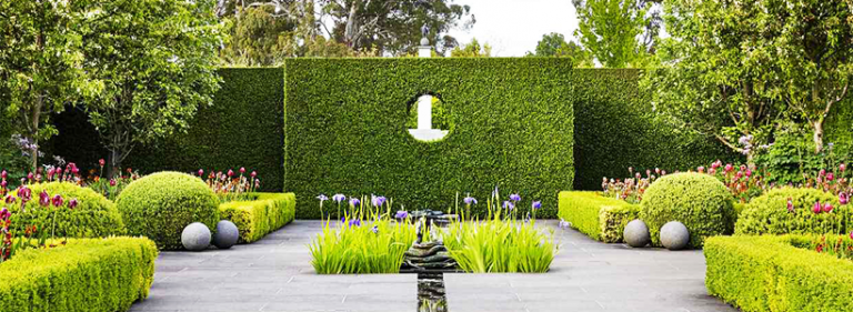 Декоративные кустарники - Фотостатьи - HappyModern.RU