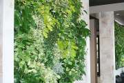 Фото 24 Вертикальный сад в квартире: 60+ потрясающих идей зеленого уголка своими руками