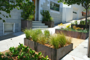 Фото 18 Декоративные травы и злаки для сада (60+ фото с названиями): полезные советы садоводов и ландшафтных дизайнеров