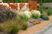 Фото 19 Декоративные травы и злаки для сада (60+ фото с названиями): полезные советы садоводов и ландшафтных дизайнеров