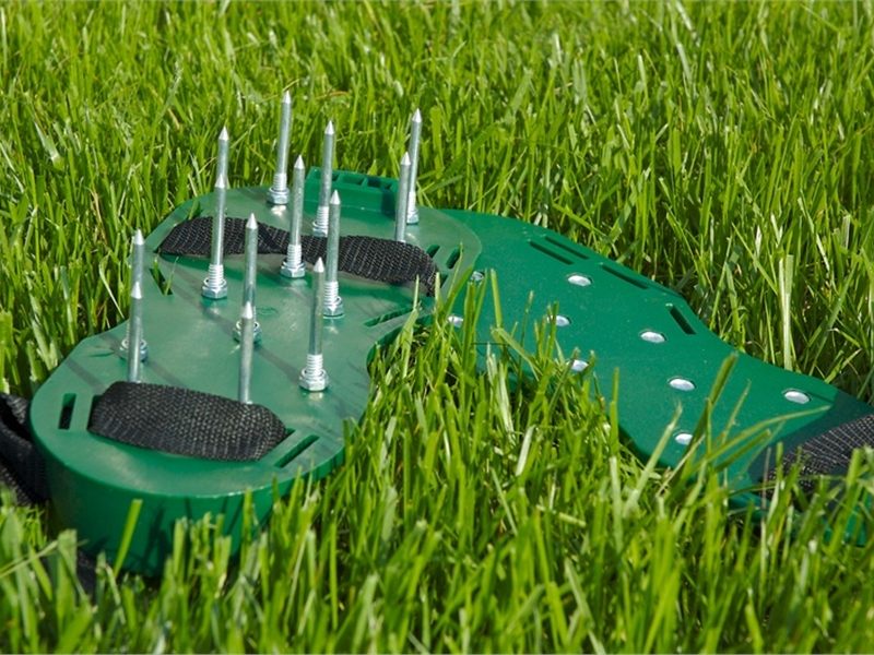 Как правильно сделать ровный газон. Как сделать газон своими руками на даче: пошаговая инструкция (фото, видео)