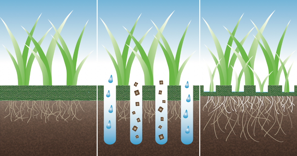 Необходимая для газона процедура - аэрация. Получая больше воздуха, воды и удобрений, корневая система травы становится крепче